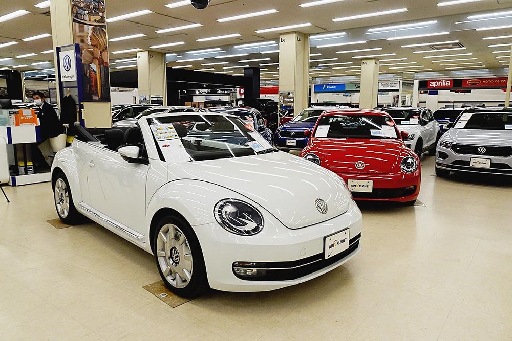 幅広いモデルを用意