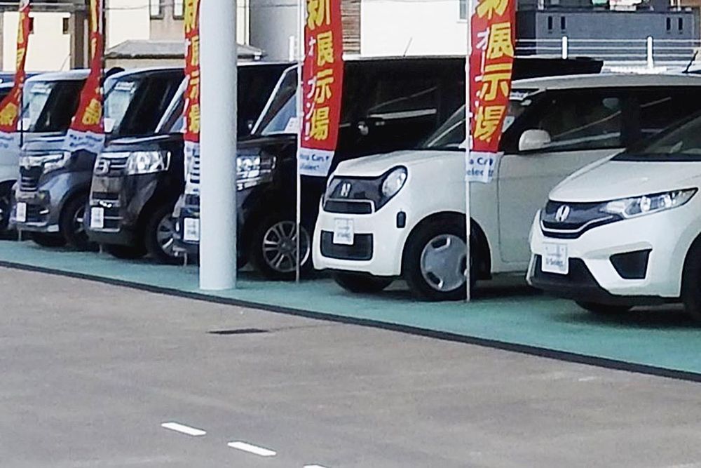中古車に力を入れるディーラーが多い