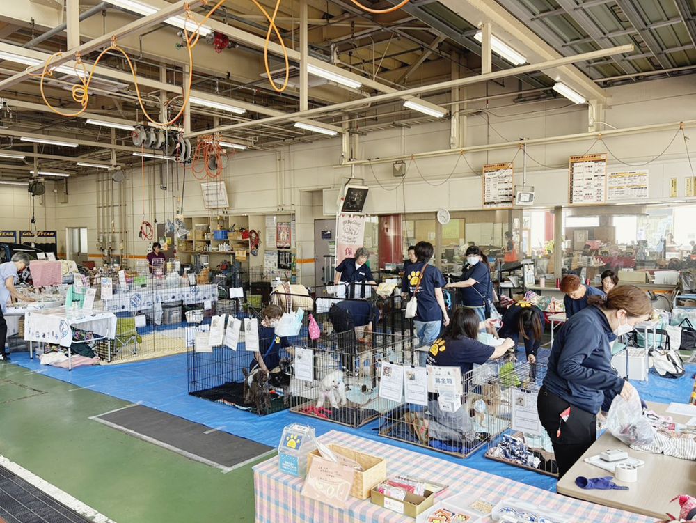 富士店での保護犬・保護猫譲渡会のもよう
