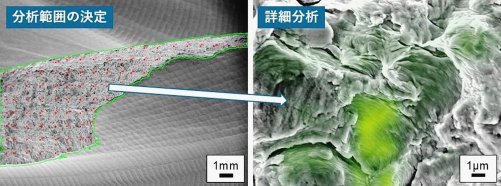 破面解析では常時電子顕微鏡を操作し、金属の破損原因の痕跡を特定する