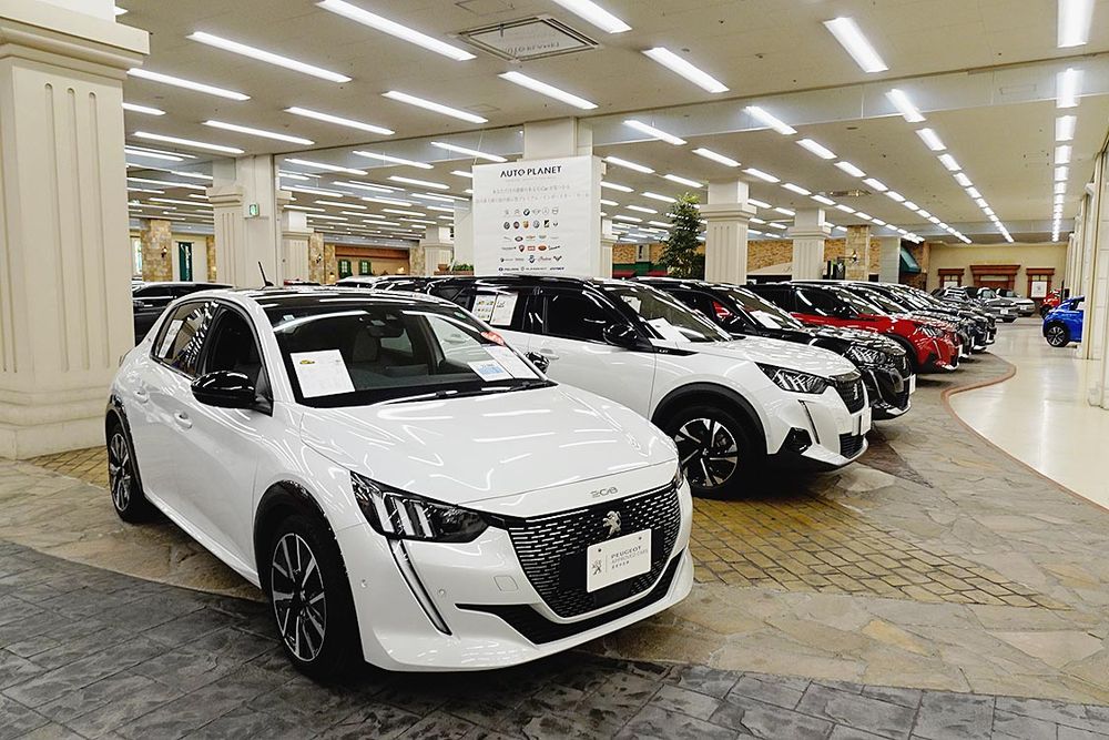 広々とした店内に数百台の中古輸入車を展示