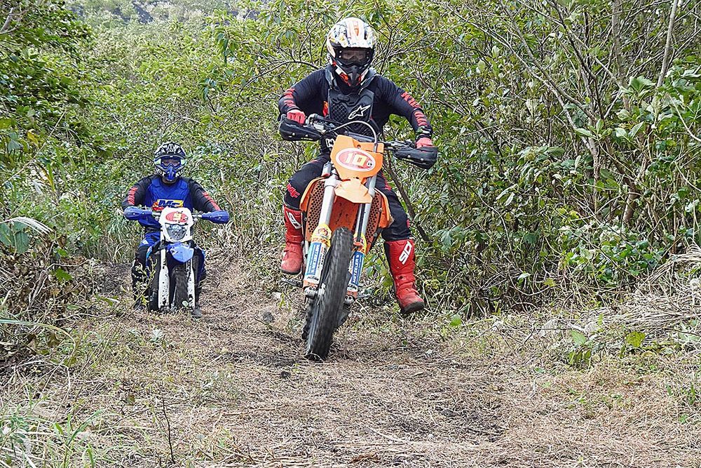 林を駆け抜けるエリアも設定