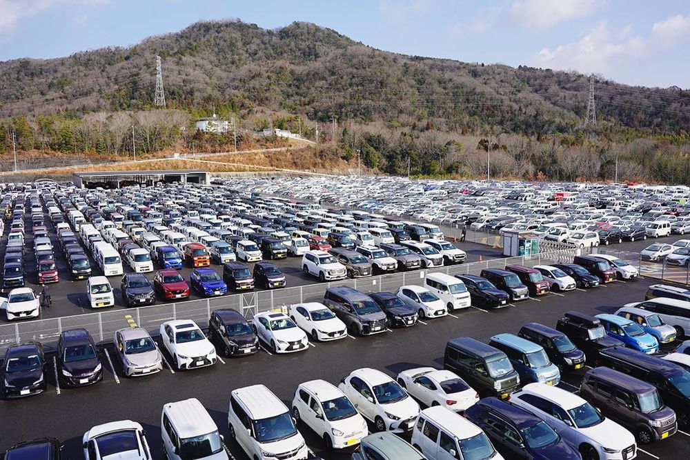 ＴＡＡ広島では過去最高の出品台数となった