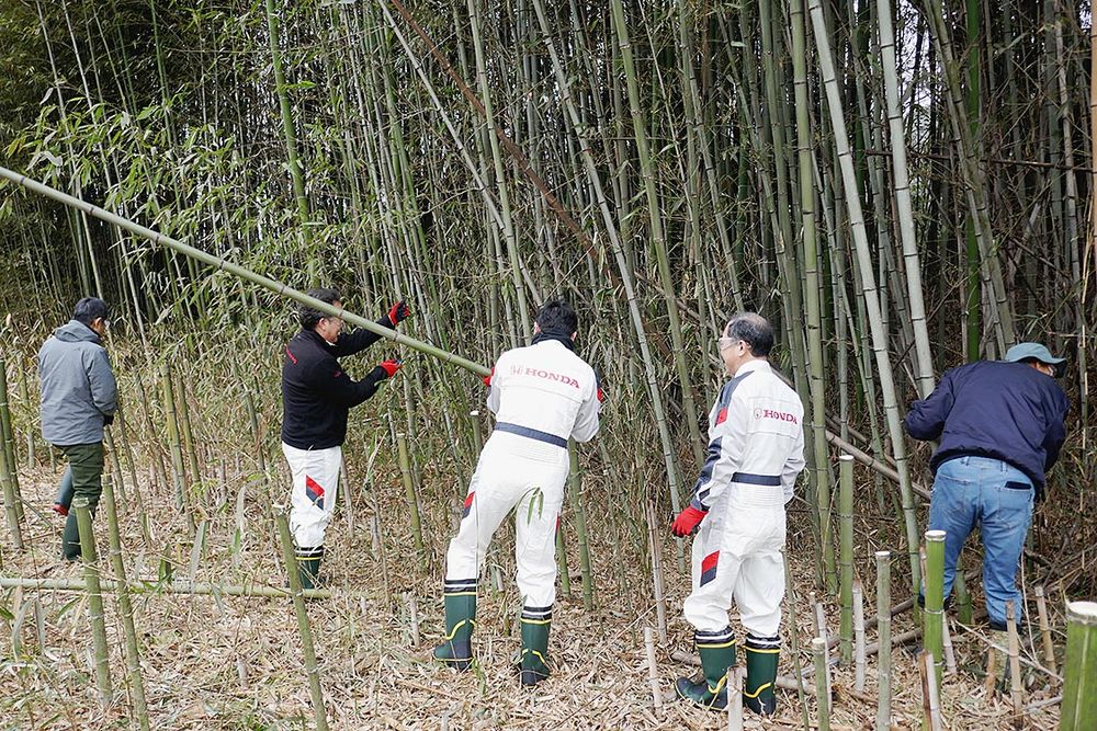 作業に慣れている地域住民や行政職員らに、伐採の方法などを教わりながら作業を進めた
