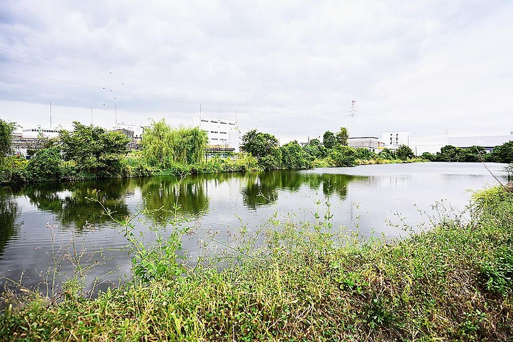 広大なビオトープは希少生物の宝庫