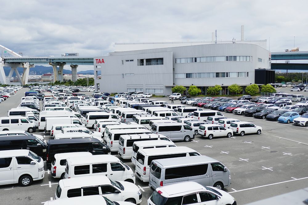 パート１は１８００台を超える出品ボリュームで開催した（ＴＡＡ兵庫）