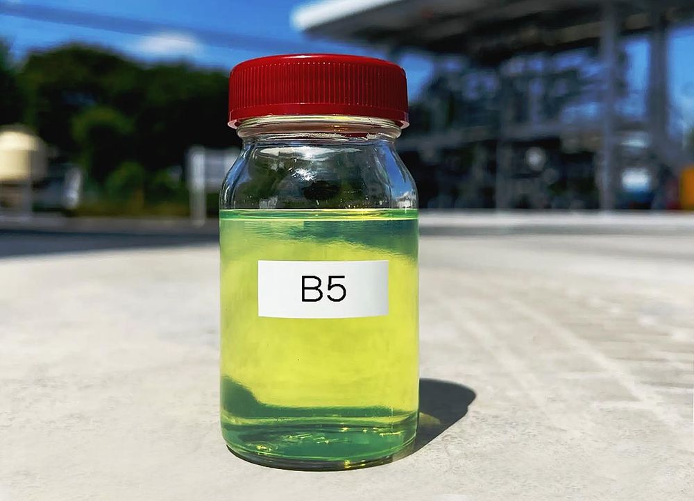 B5軽油