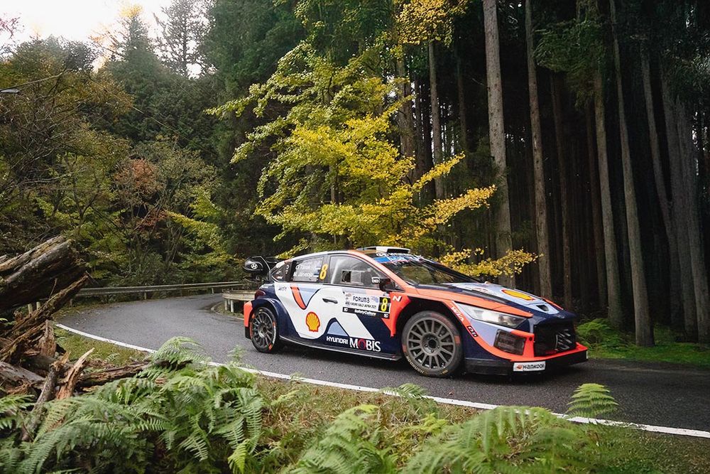 ２５年のラリージャパン